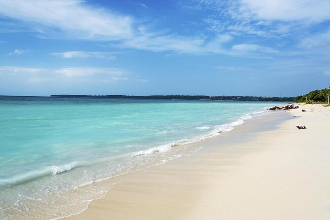 Adventure full day Isla Barú + Mangroves + Snorkel + bioluminescent plankton - Key points to know before booking