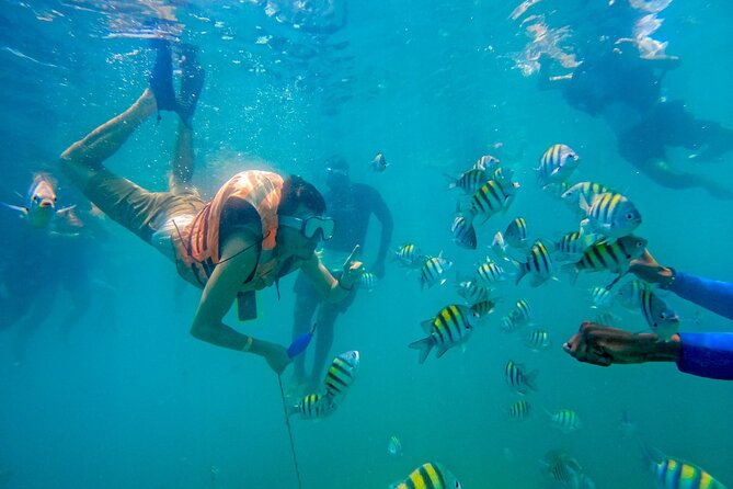 Adventure full day Isla Barú + Mangroves + Snorkel + bioluminescent plankton - The ride across the Barú Bridge
