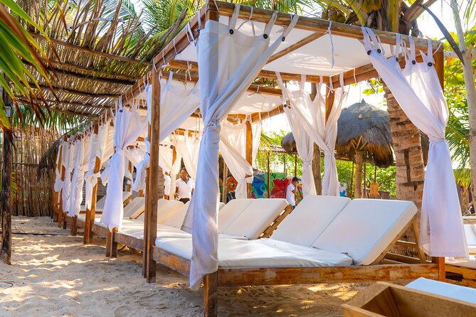 Adventure full day Isla Barú + Mangroves + Snorkel + bioluminescent plankton - What $65 really buys you