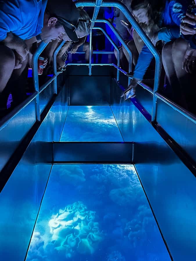 Airlie Beach: Glass-Bottom Boat Night Tour - Key points to know before you book