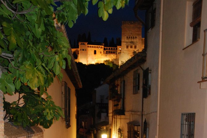 Alhambra: Night Visit to Nasrid Palaces - Why the night atmosphere can be worth the trouble