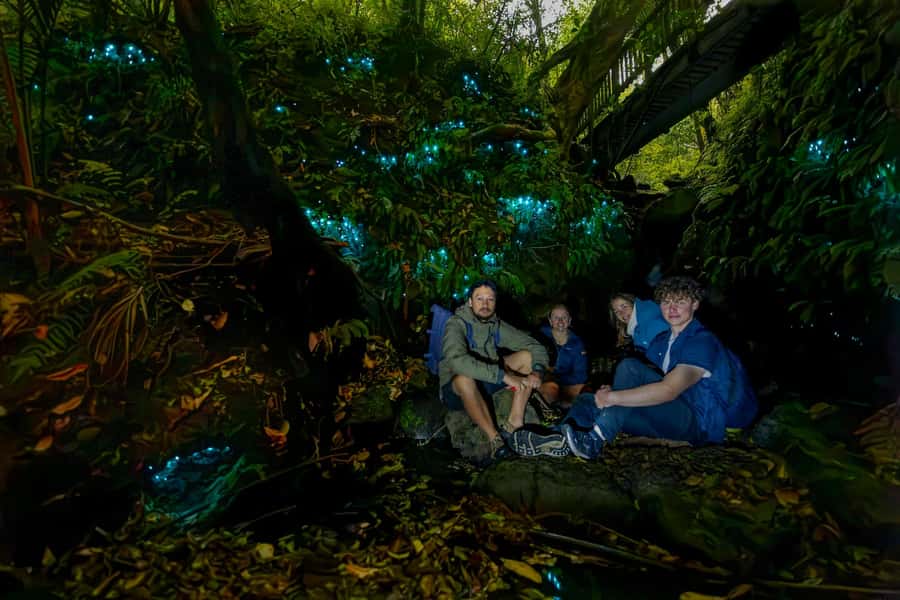 Auckland: Inner-City Glowworm Experience in Ancient Volcano - Why Auckland Domain is an unusual glowworm setting