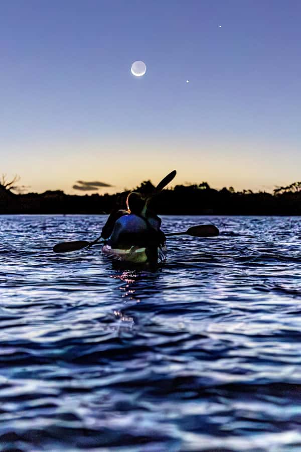 Auckland: Night Kayak Tour in Glowing Bioluminescent Waters - Key points to know before booking