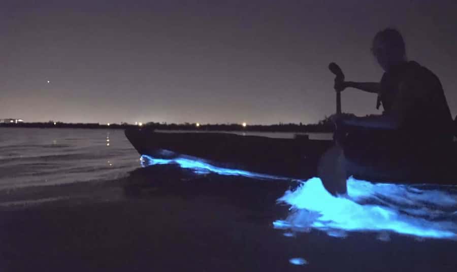 Auckland: Night Kayak Tour in Glowing Bioluminescent Waters - The 30-minute briefing gets you ready for darkness