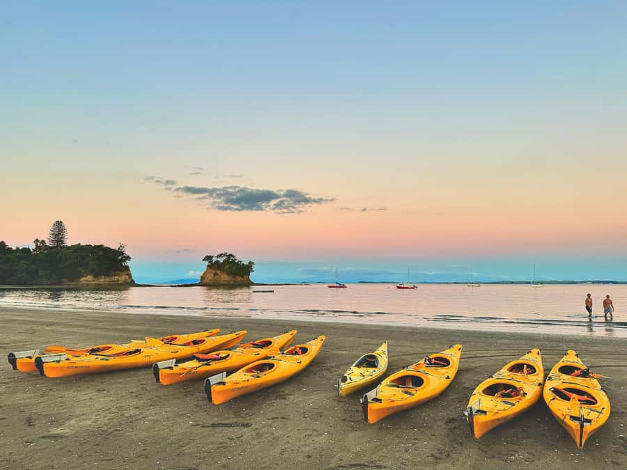 Auckland: Night Kayak Tour in Glowing Bioluminescent Waters - The break is short but useful