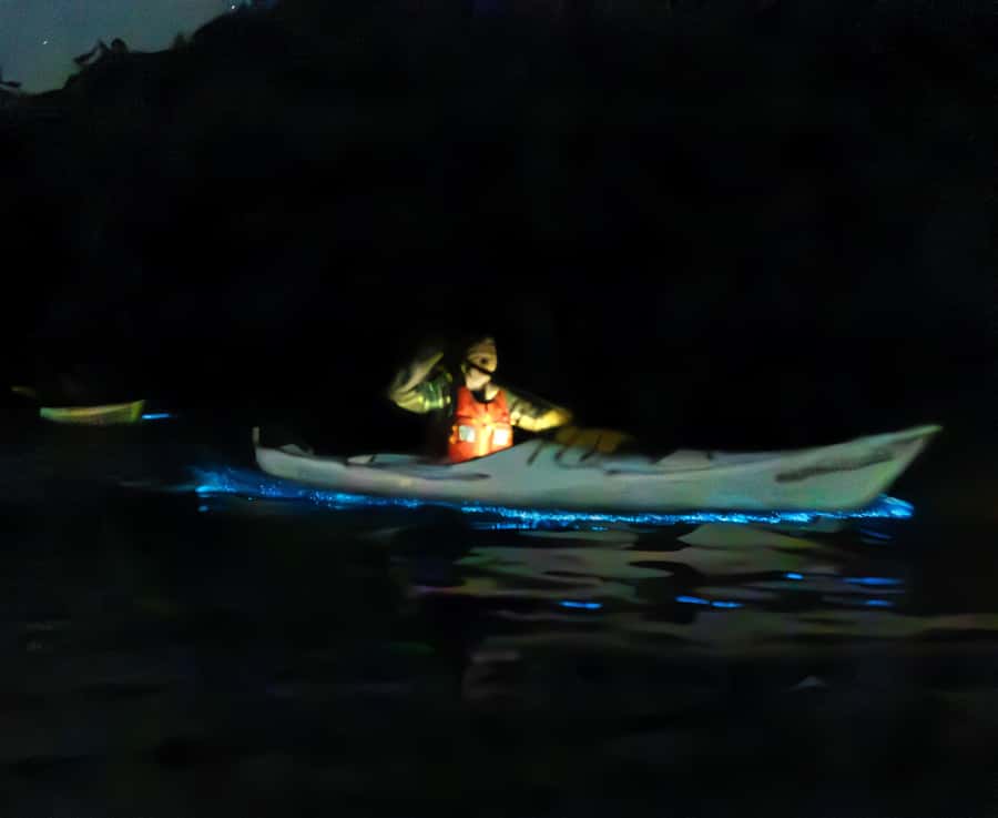 Auckland: Night Kayak Tour in Glowing Bioluminescent Waters - What to wear and pack