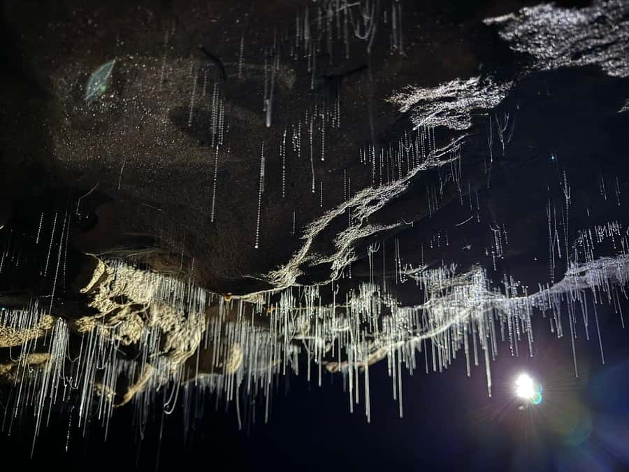 Auckland: Spellbound Glowworm Caves Explorer Tour - Why this Auckland day trip is worth the long drive