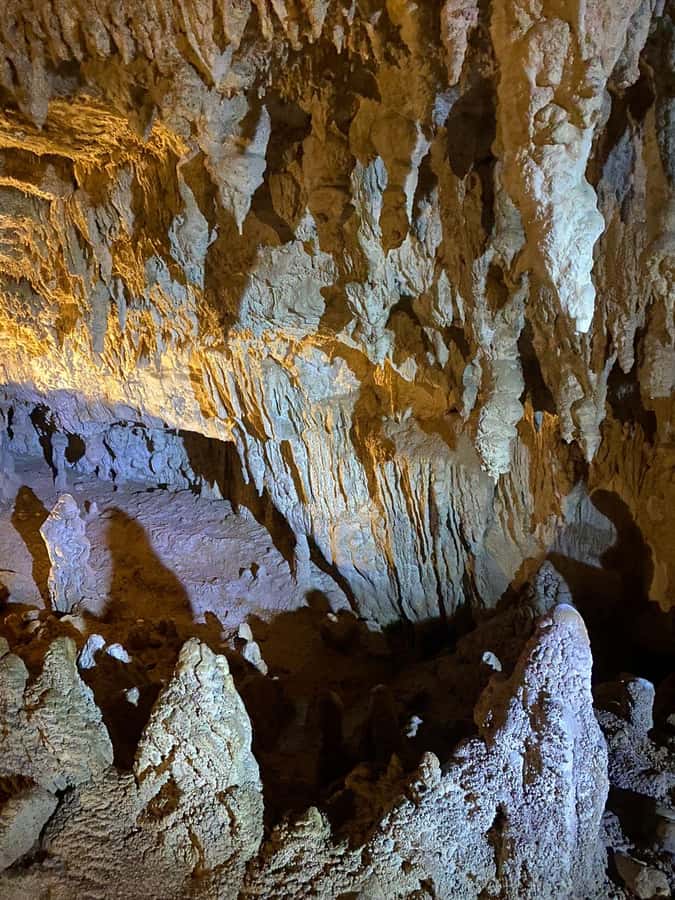 Auckland: Spellbound Glowworm Caves Explorer Tour - What happens inside Spellbound’s caves