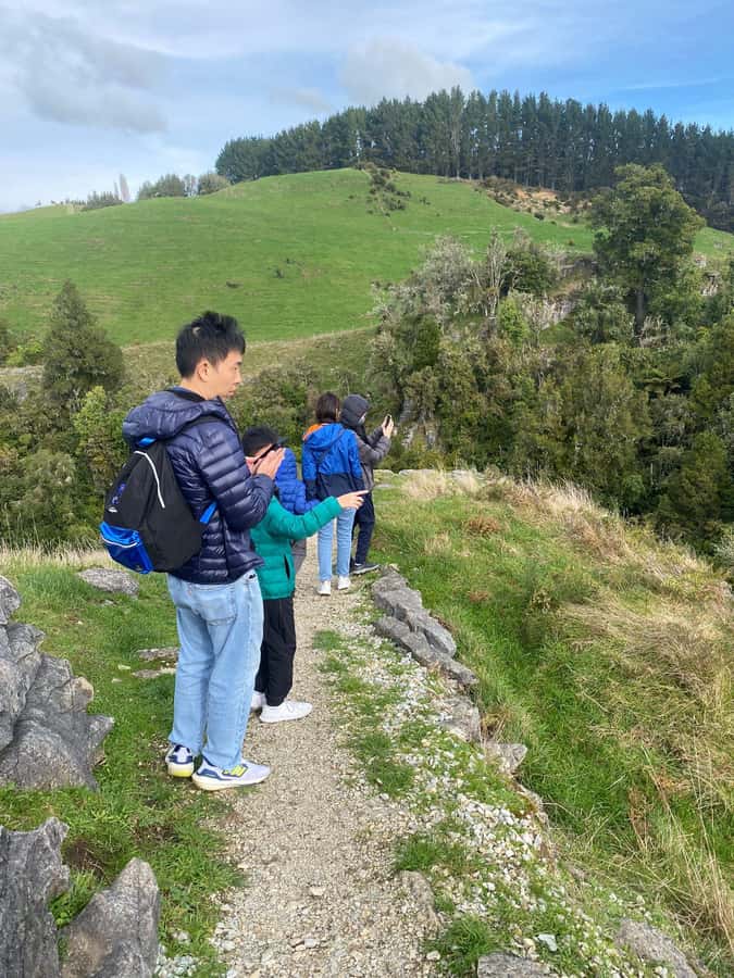 Auckland: Spellbound Glowworm Caves Explorer Tour - The Glowworm Grotto and its blue-green ceiling