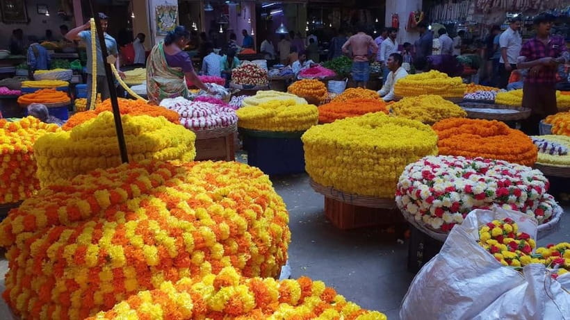 Bangalore : Evening Food Street Walk and Market Visit - Practical details before you go