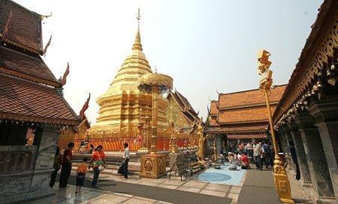 Best seller!! Amazing Night tour, Doi Suthep + Wat umong - Top Must visit! - Key points before you book