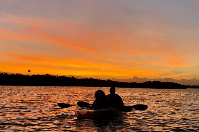 Bioluminescence Kayak Tour - What makes this night paddle special