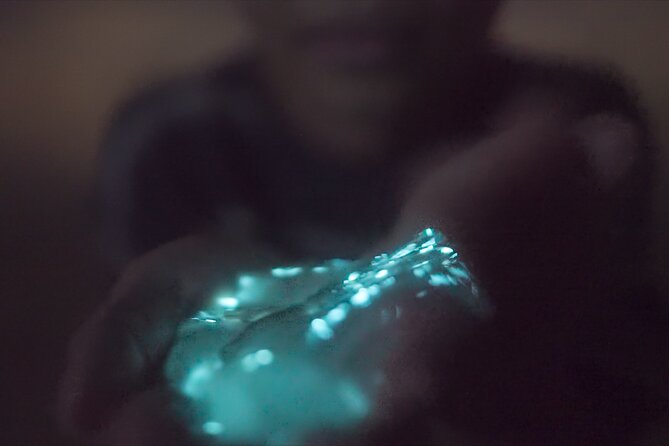 Bioluminescence Kayak Tour - Wildlife beyond the glow