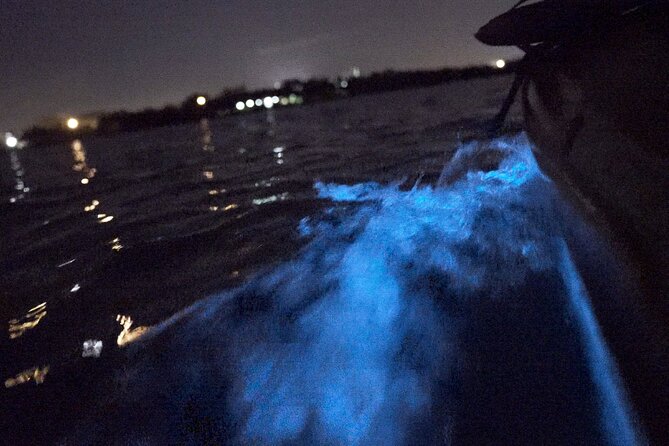 Bioluminescence Kayak Tour - How the two-hour itinerary usually feels