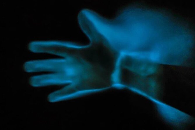 Bioluminescence Kayak Tour - What to bring and what to leave in the car