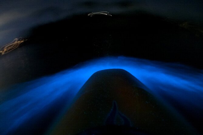 Bioluminescence Kayak Tour - Est. 1994 - Key points before you book