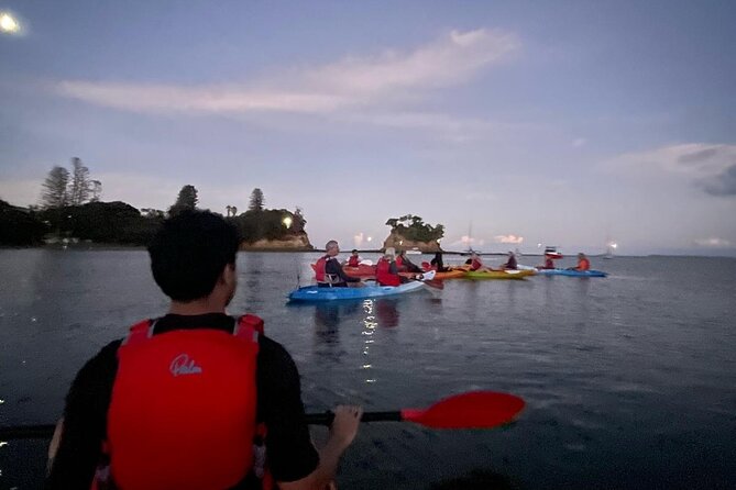 Bioluminescence Kayak Tour - Est. 1994 - The main trade-off: nature controls the brightness