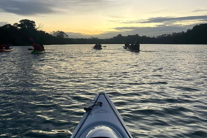 Bioluminescence Kayak Tour - Est. 1994 - Kayaking after dark, with a few practical warnings