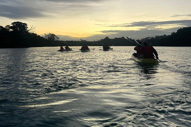 Bioluminescence Kayak Tour - Est. 1994 - Who will enjoy this most