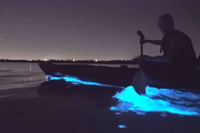Bioluminescence Kayak Tour - Est. 1994 - A simple plan for a better night