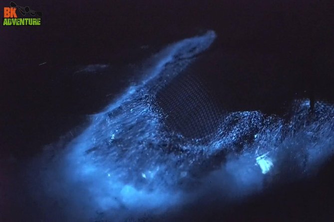 Bioluminescence Night Kayaking Tour of Merritt Island Wildlife Refuge - Why the water glows after dark