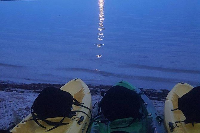 Bioluminescence Night Kayaking Tour of Merritt Island Wildlife Refuge - The 90-minute route and what happens on the water