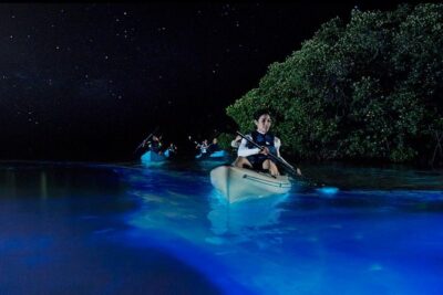 Bioluminescence Night Kayaking Tour of Merritt Island Wildlife Refuge