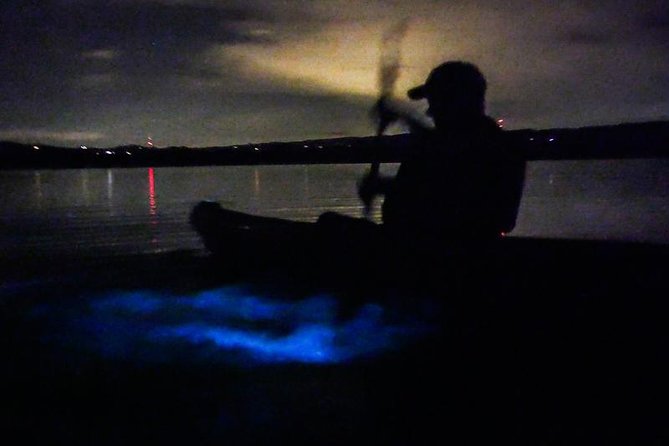 Bioluminescence Night Kayaking Tour of Merritt Island Wildlife Refuge - Who will enjoy this most?