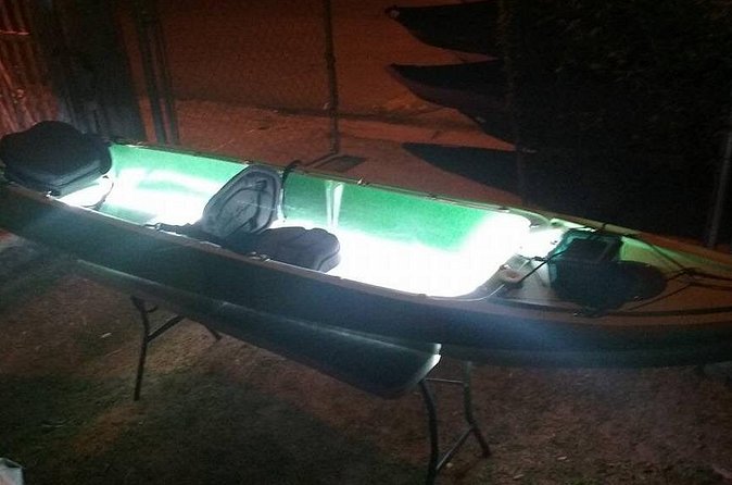 Bioluminescent Bay Kayak Trip from Vieques - Safety, comfort, and the small-group tradeoff