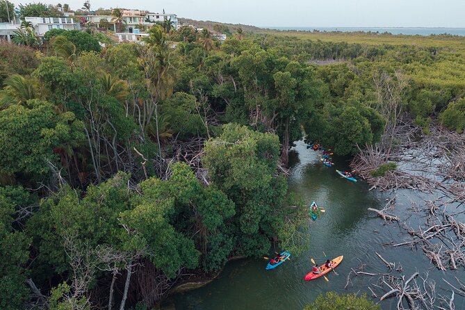 Bioluminescent Bay Night Kayaking Adventure in Puerto Rico - Reaching the glowing water at Laguna Grande