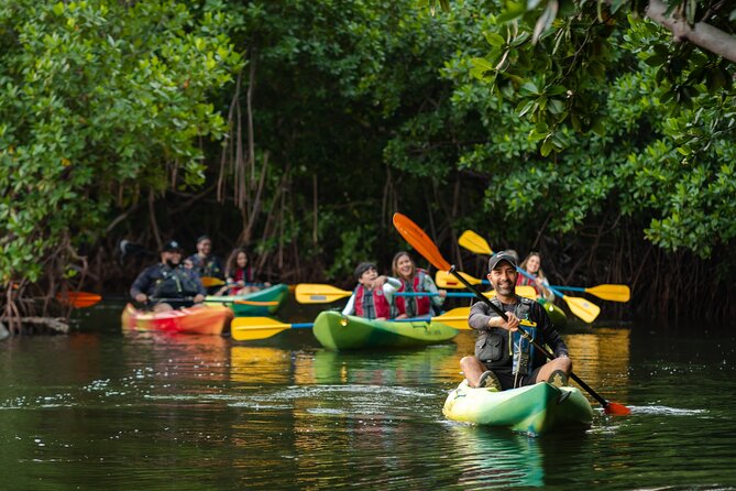 Bioluminescent Bay Night Kayaking Adventure in Puerto Rico - Getting wet, dressing well, and staying comfortable