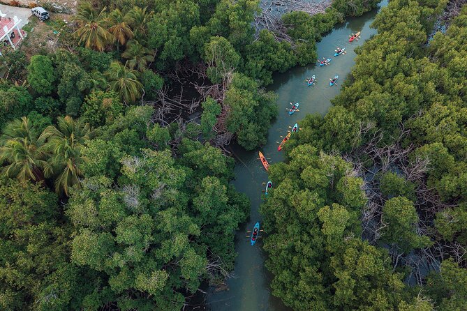 Bioluminescent Bay Night Kayaking Adventure in Puerto Rico - Who will enjoy this most?