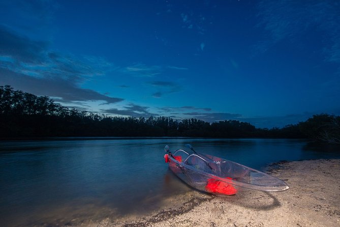 Bioluminescent Clear Kayak Tours in Titusville - Fish below, wildlife along the shore
