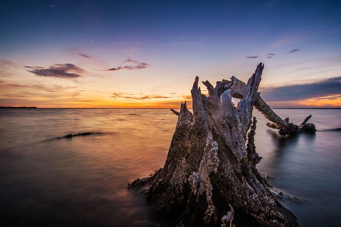 Bioluminescent Clear Kayak Tours in Titusville - The practical value of a $120 ticket