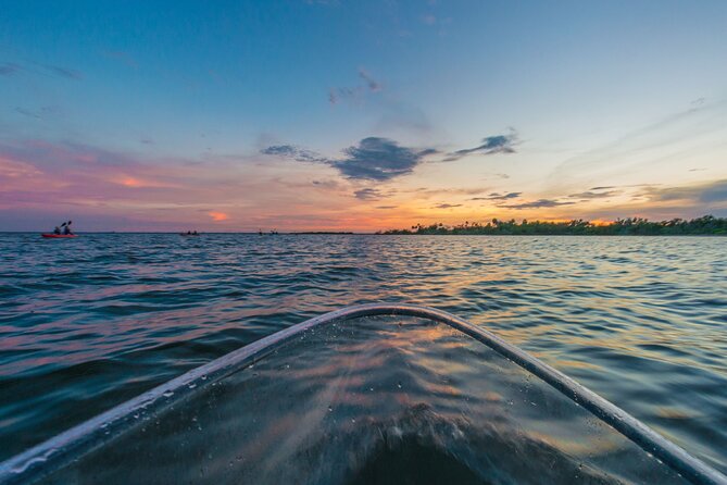 Bioluminescent Clear Kayak Tours in Titusville - How this compares with a daytime kayak trip