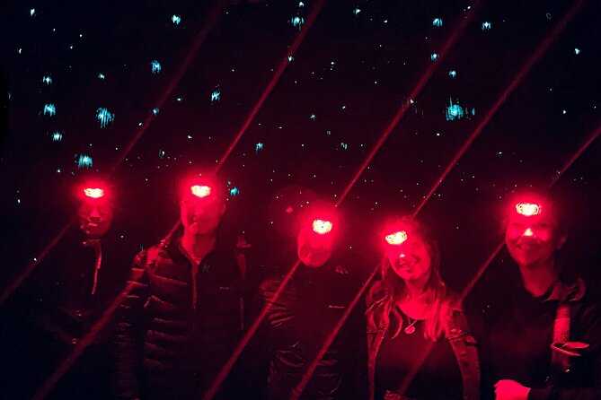 Blue Mountains Hiking Glow worms Cave Wildlife Spotlighting Night Adventure - The 8pm pickup from Sydney