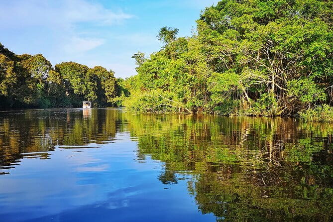 Bongawan River Cruise Proboscis Monkey, SkyMirror, Fireflies - Guides, photos, and the human side of the tour