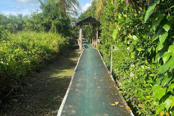 Borneo (Klias) River Cruise & Fireflies Tour - Dinner with Malaysian flavors