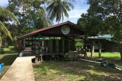 Borneo (Klias) River Cruise & Fireflies Tour