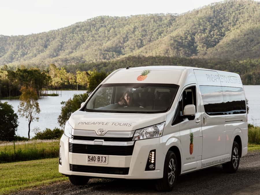 Brisbane: Daytime Glow Worm Caves Hop-on Hop-off Bus Tour - Key points to know before you book