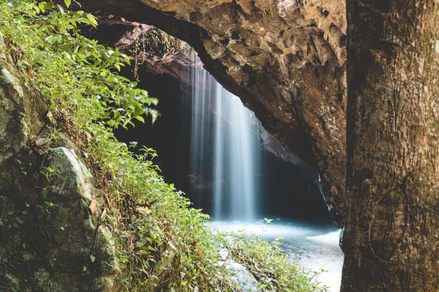 Brisbane: Rainforests, Waterfalls and Glow Worm Cave Tour - Two national parks in one long day