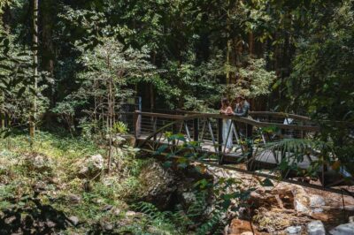 Brisbane: Rainforests, Waterfalls and Glow Worm Cave Tour