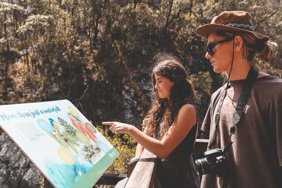 Brisbane: Rainforests, Waterfalls and Glow Worm Cave Tour - Through Numinbah Valley to Springbrook
