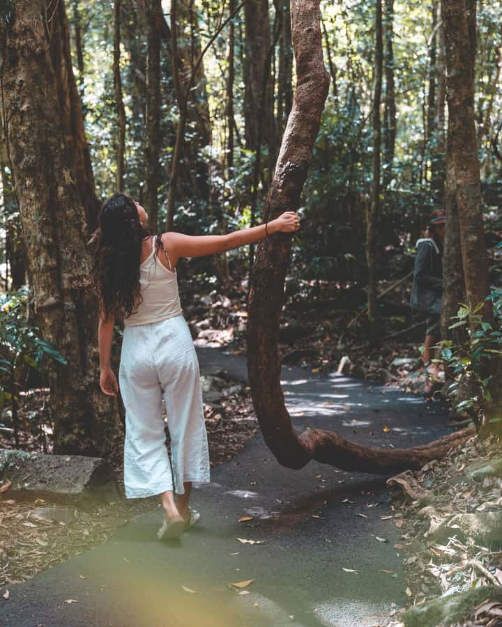 Brisbane: Rainforests, Waterfalls and Glow Worm Cave Tour - Natural Bridge, the best walking stop