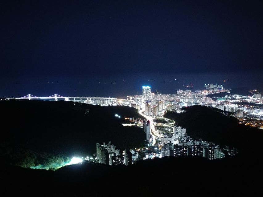 Busan: Night Viewpoints with Evening Cruise w/ Fireworks - Key points to know before booking