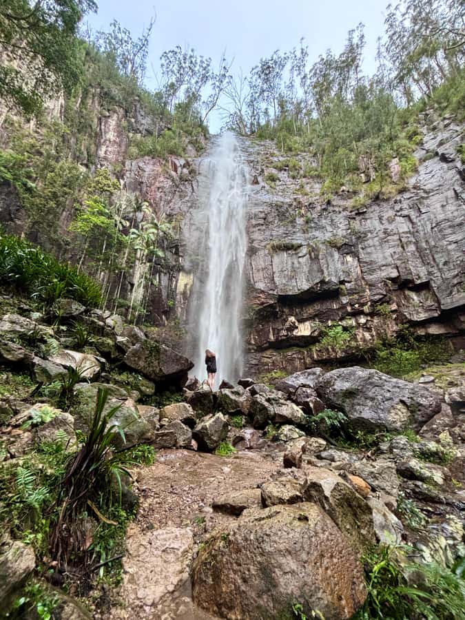 Byron Bay: Glowworms, Waterfalls & Rainforest Experience - Key points at a glance