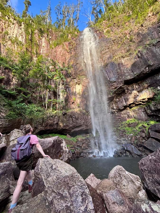 Byron Bay: Glowworms, Waterfalls & Rainforest Experience - Waterfalls, changing rooms and a real rainforest walk