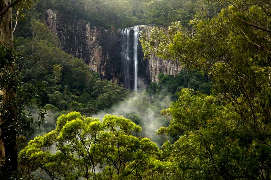 Byron Bay: Glowworms, Waterfalls & Rainforest Experience - Guides who give the evening its character