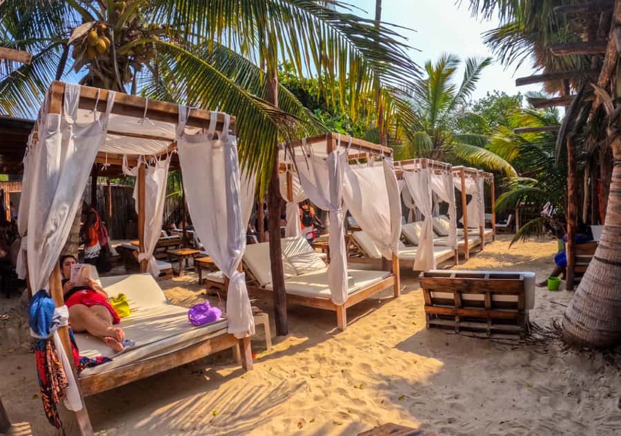 Cartagena: Barú Sunset Beach with Bioluminescent Plankton - Should you book the Barú plankton tour?