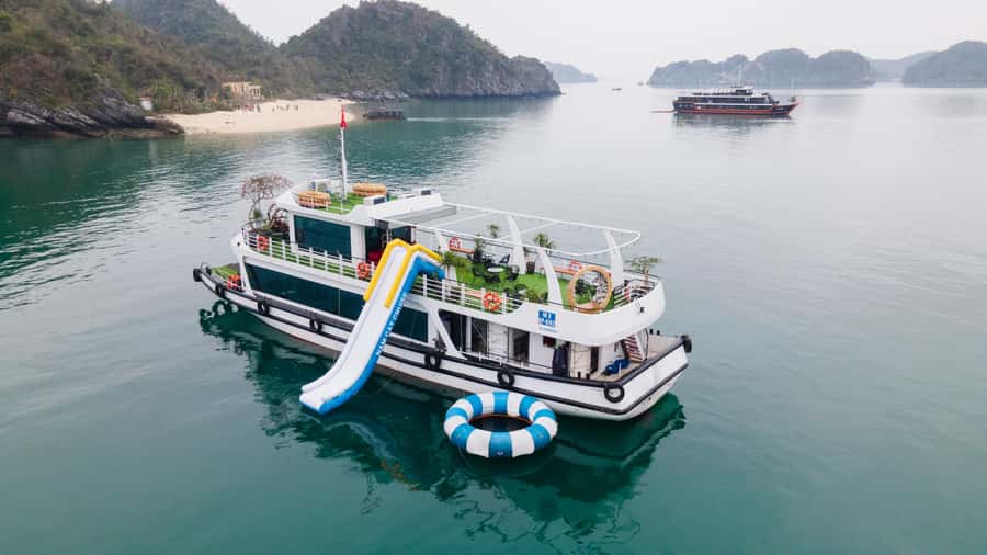 Cat Ba : Lan Ha Bay Bioluminescent Plankton Kayak Boat Tour - Why the plankton makes this Cat Ba evening special